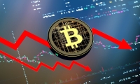 ST天圣：2024年净利润同比减亏566